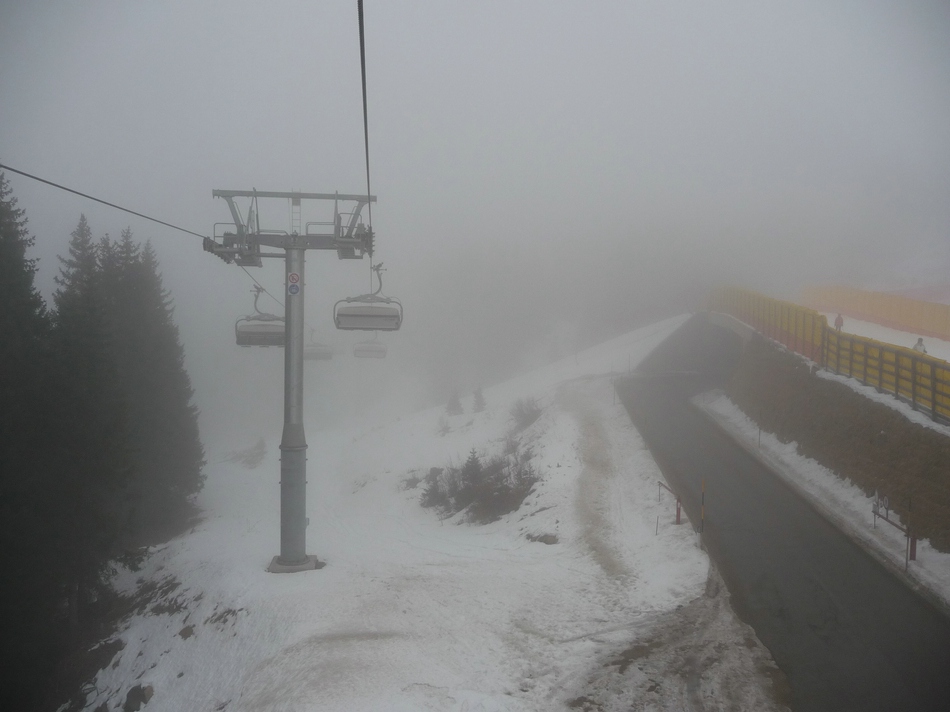 comp_40alpenroseuxu3a.jpg