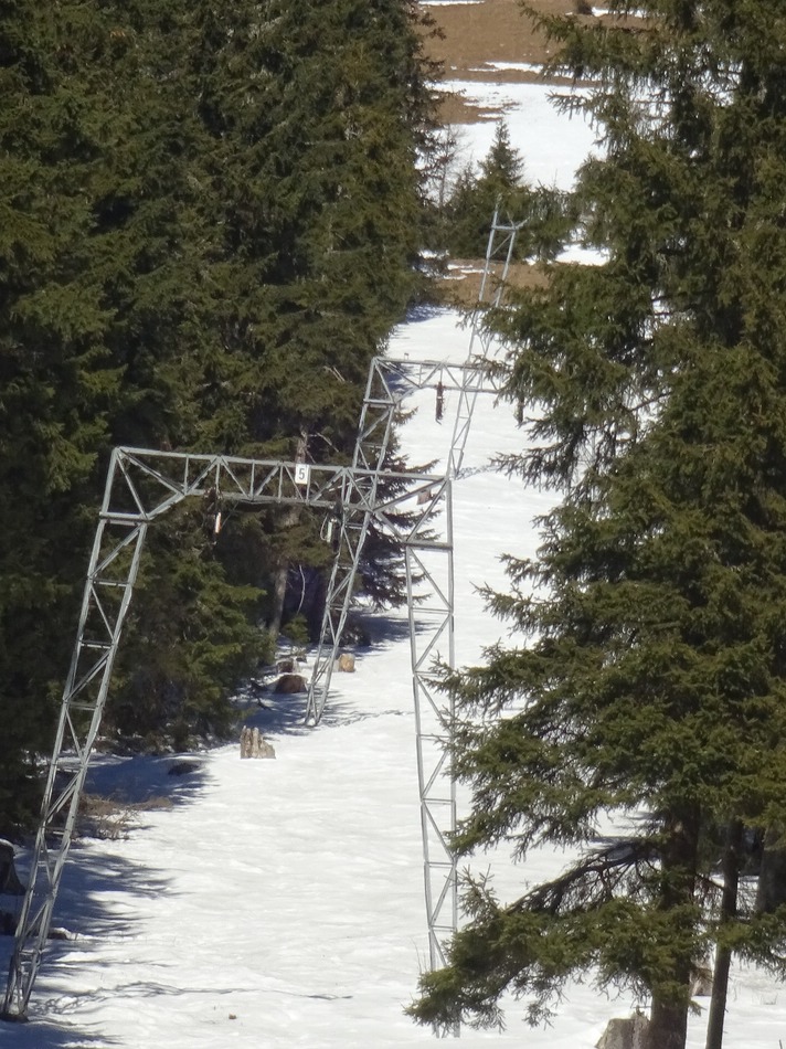 comp_40polsterschlepp2gsyg.jpg