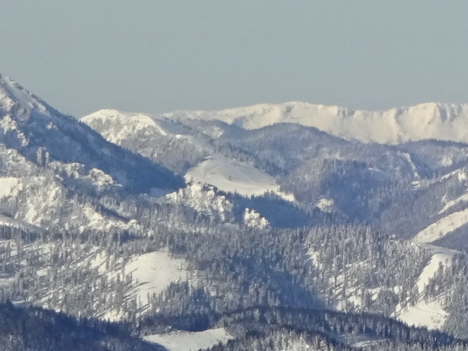 comp_43niederalplv8jbr.jpg