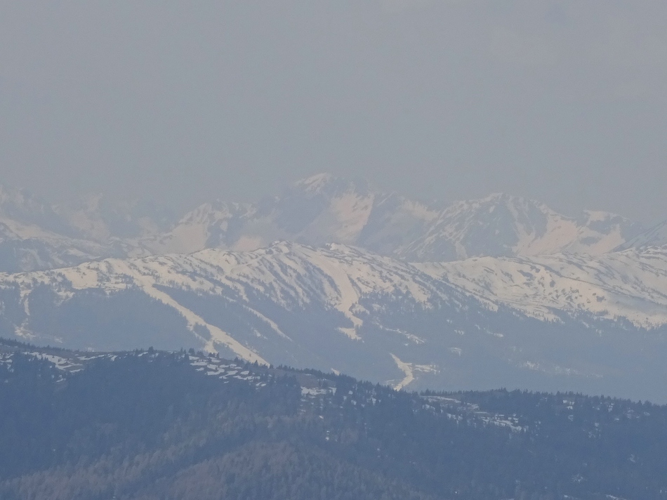 comp_44zoomfanningbergns6j.jpg