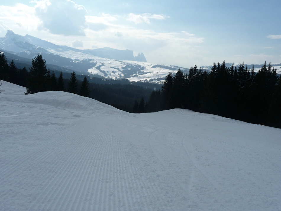 comp_49alphaschlernblp3rn5.jpg