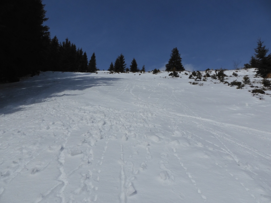 comp_49zellernhangobep4kh4.jpg