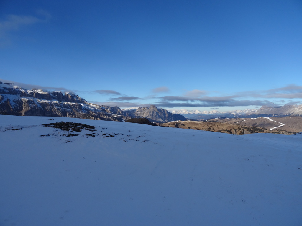 dsc004048rkoh.jpg