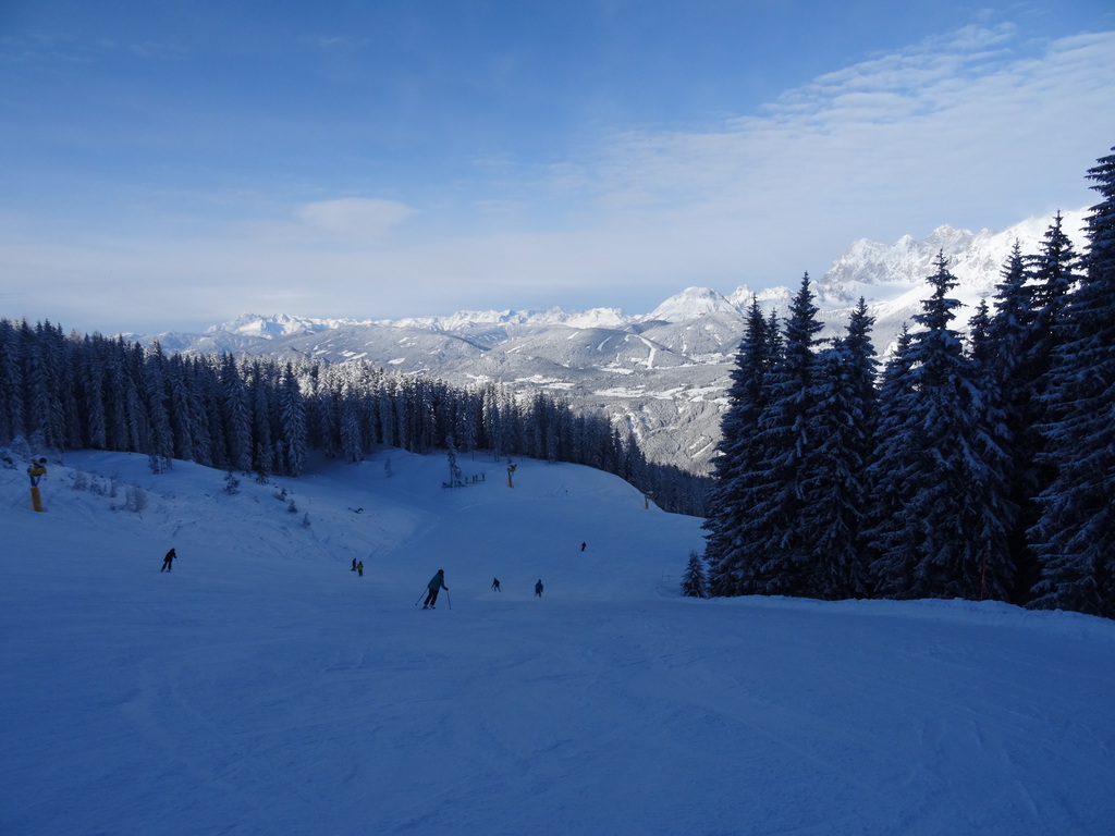 dsc00724unkrb.jpg