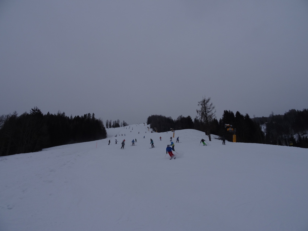 dsc00772k9szf.jpg