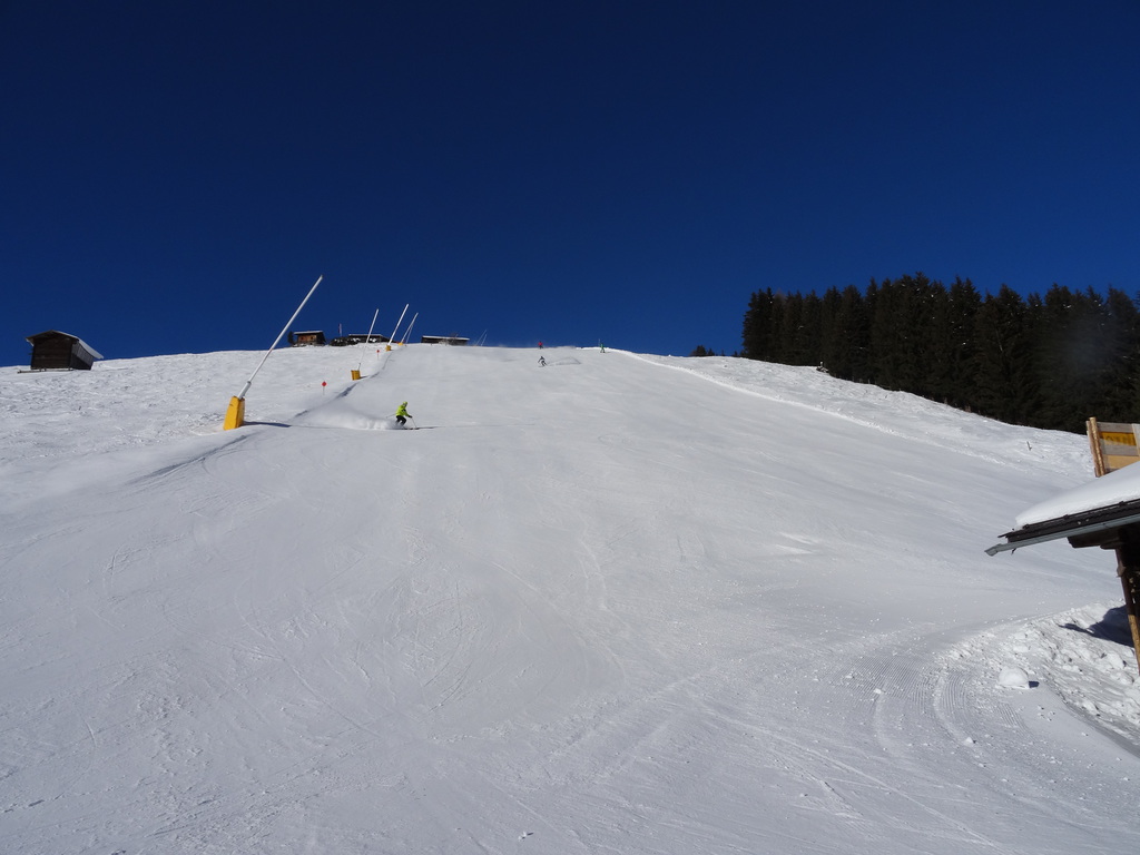 dsc00969s1lxm.jpg