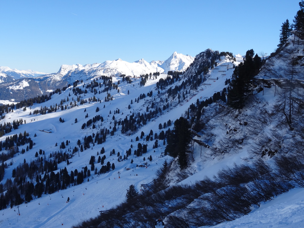 dsc01027otsq0.jpg