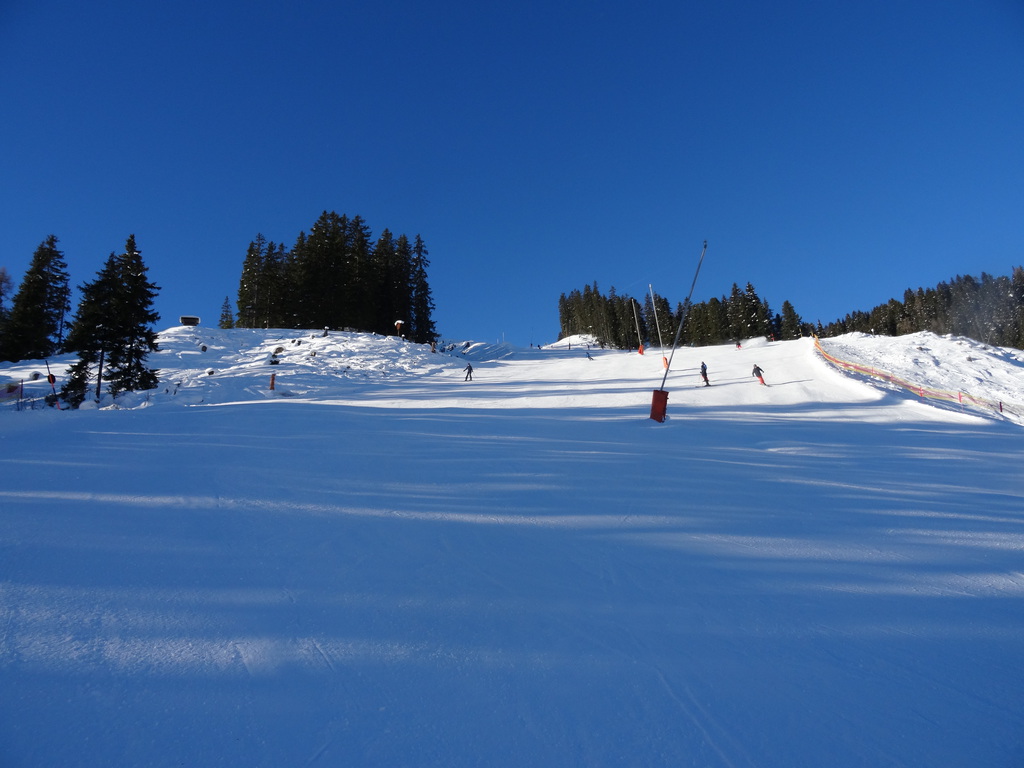 dsc011059ysls.jpg