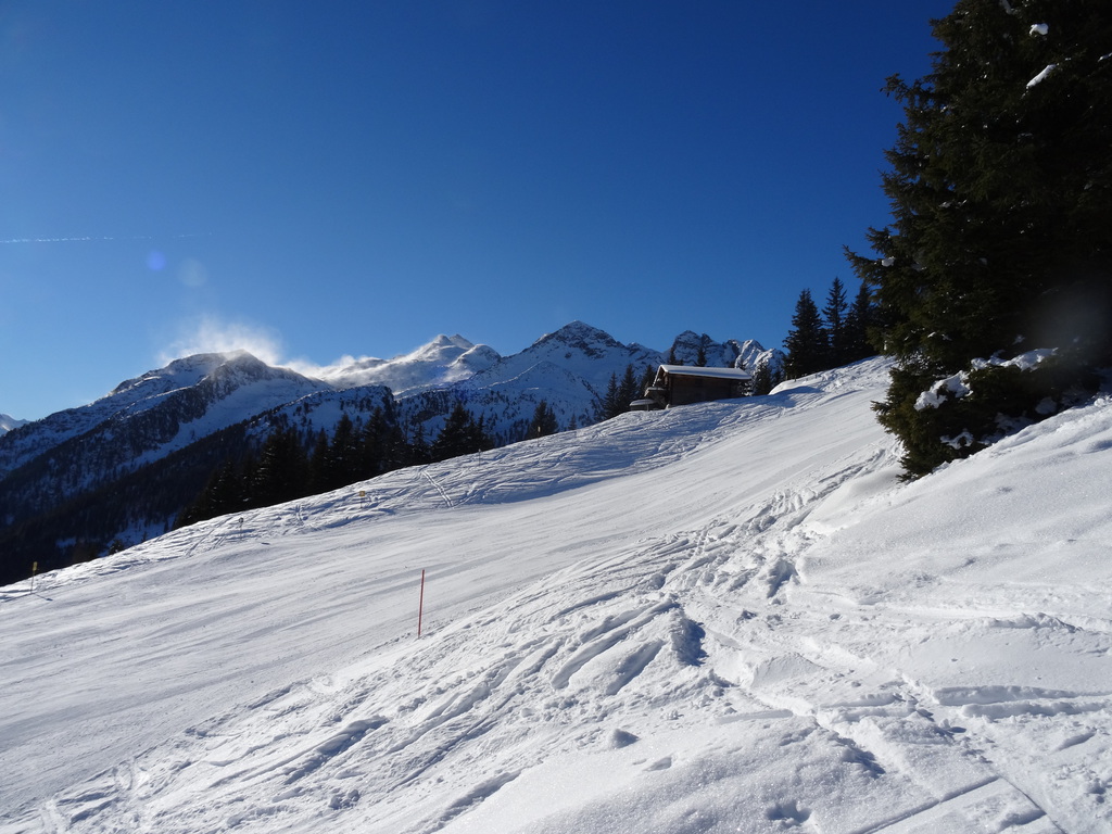 dsc01140t0sla.jpg