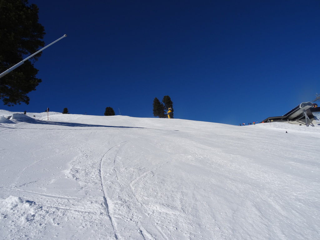 dsc01165akjxb.jpg