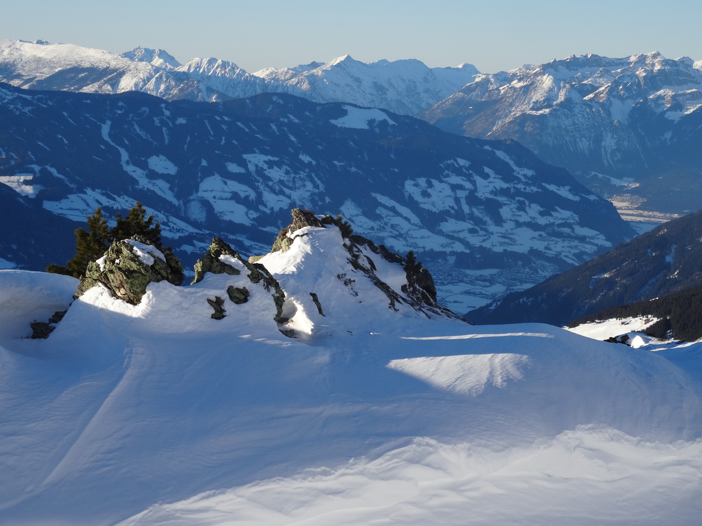 dsc01317n1ojx.jpg