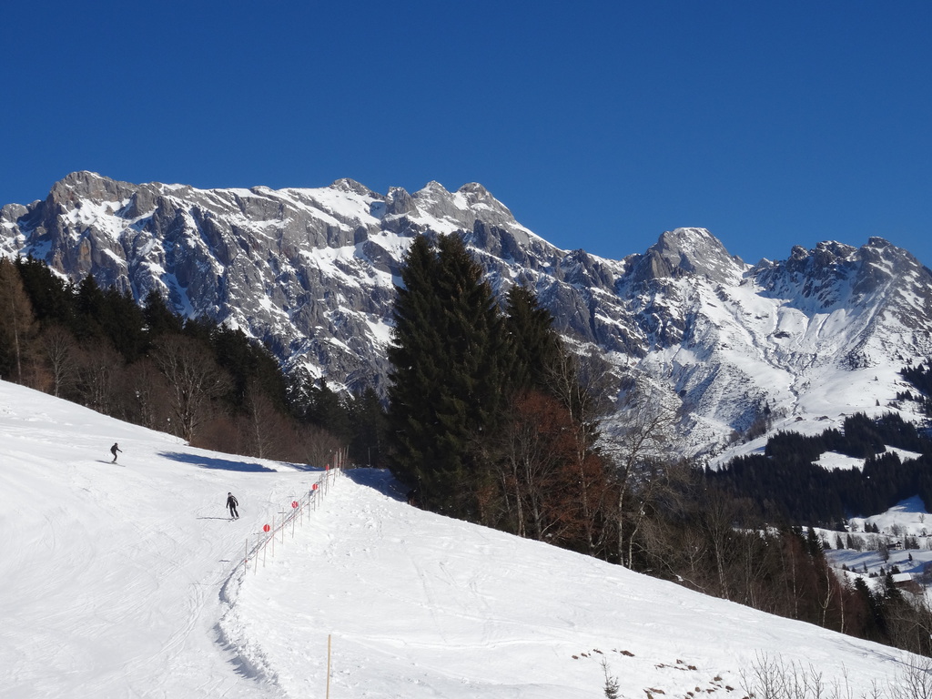 dsc01416xdkxw.jpg