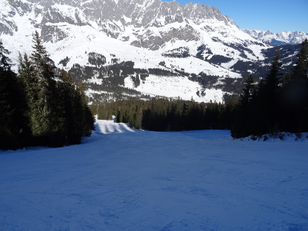 dsc01443tck3f.jpg
