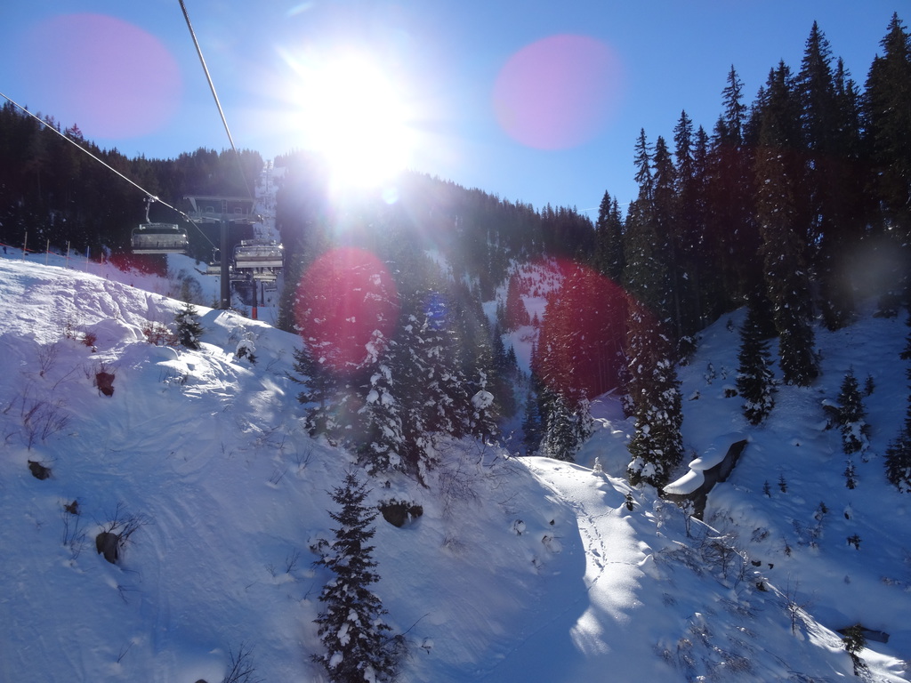 dsc01444yckd9.jpg