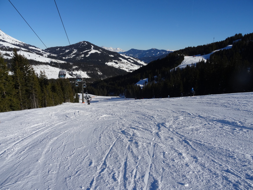 dsc014553ybxg.jpg