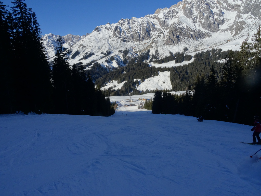 dsc01468cxxtm.jpg