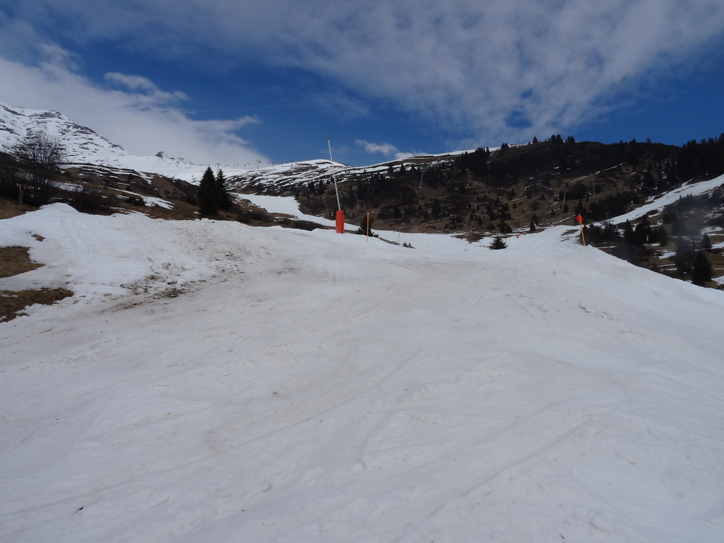 dsc0179743uax.jpg