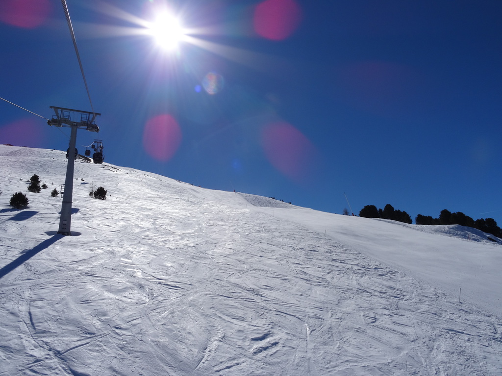 dsc02058z1b2f.jpg