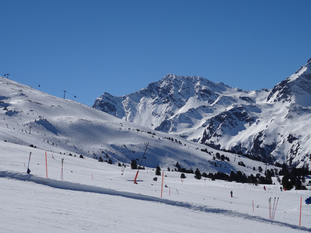 dsc02110c1bfh.jpg