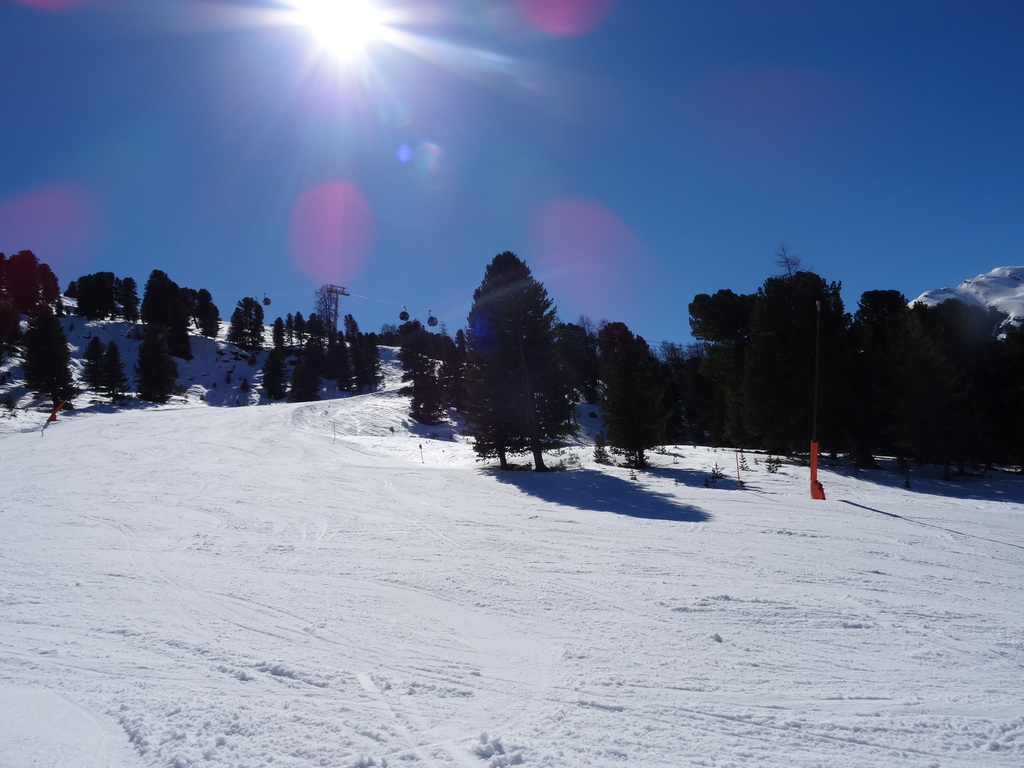 dsc02119nozwd.jpg