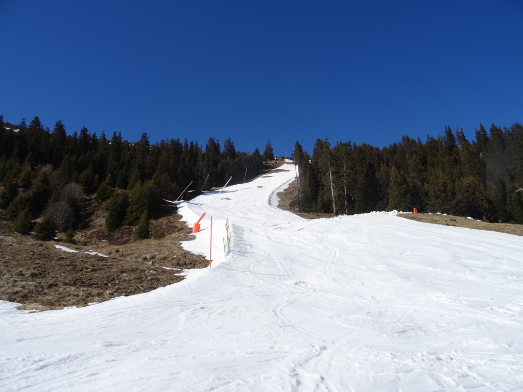 dsc02148zrug3.jpg
