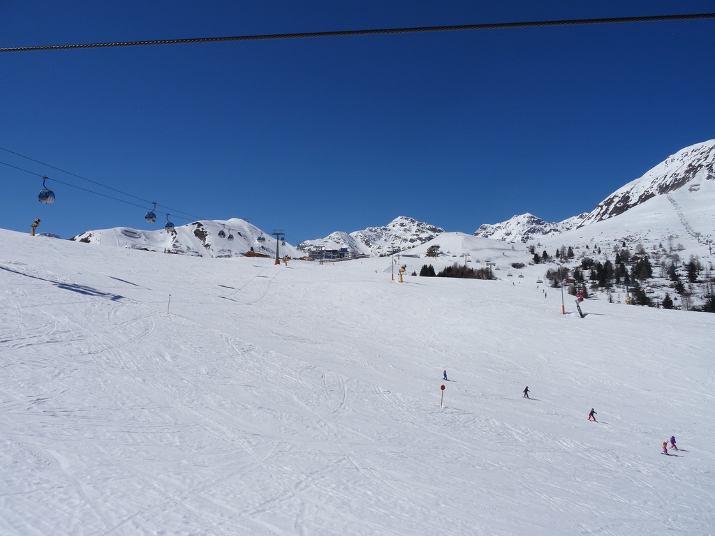 dsc0229058s77.jpg