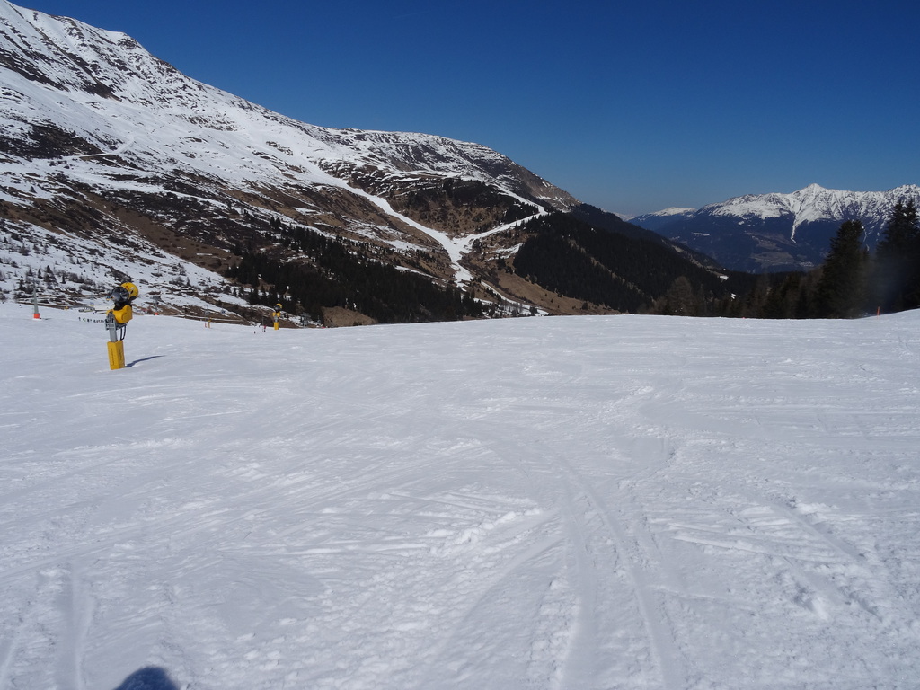 dsc02295fps0r.jpg