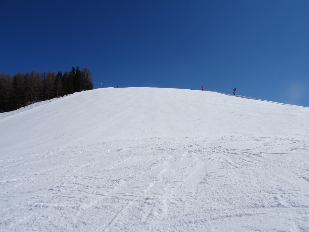 dsc022960vsni.jpg