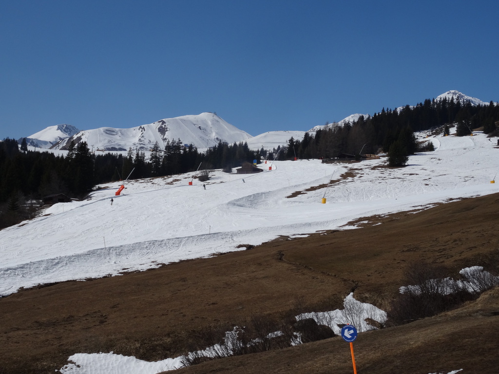 dsc02374u3uw7.jpg
