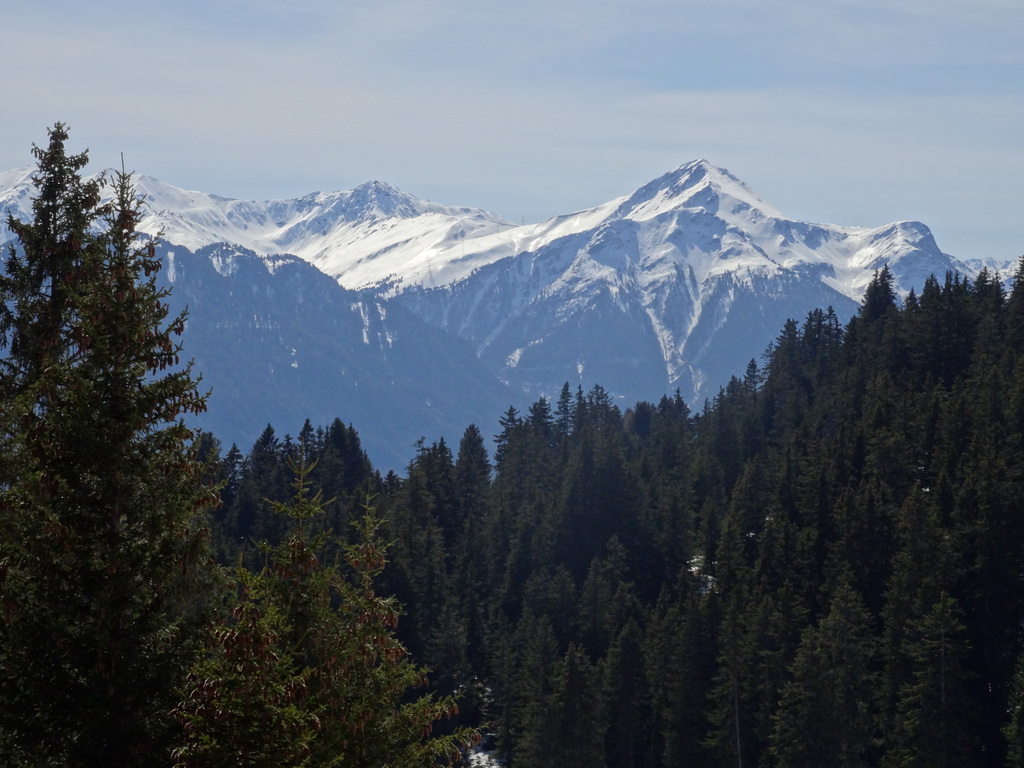 dsc02505s3lk4.jpg