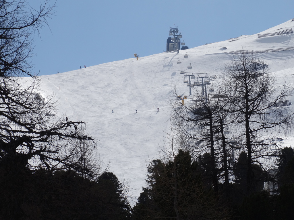 dsc02732mfub6.jpg