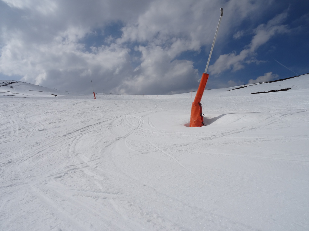 dsc02757druby.jpg