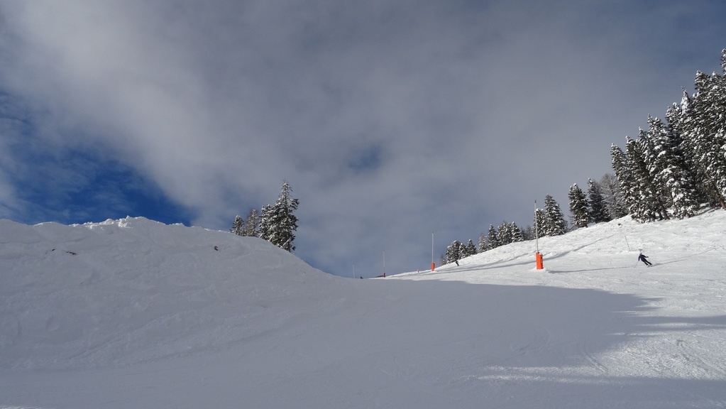 dsc02763sau1q.jpg