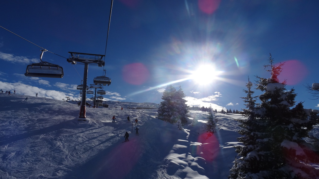 dsc02778cgsxg.jpg
