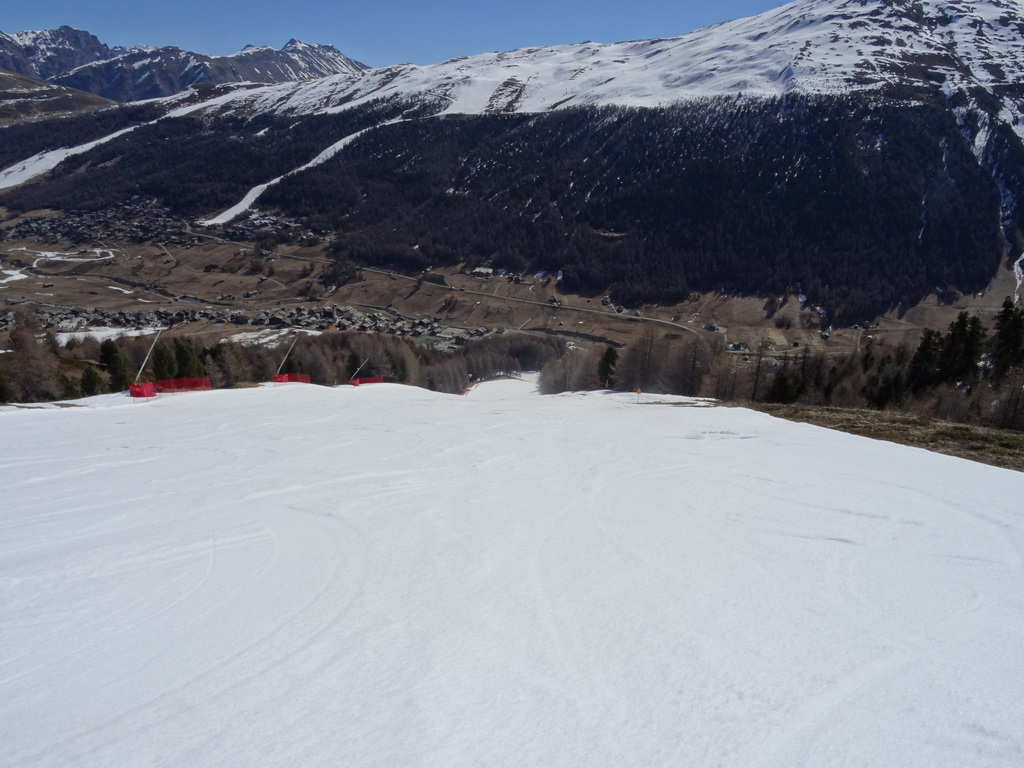 dsc02951q2ya8.jpg