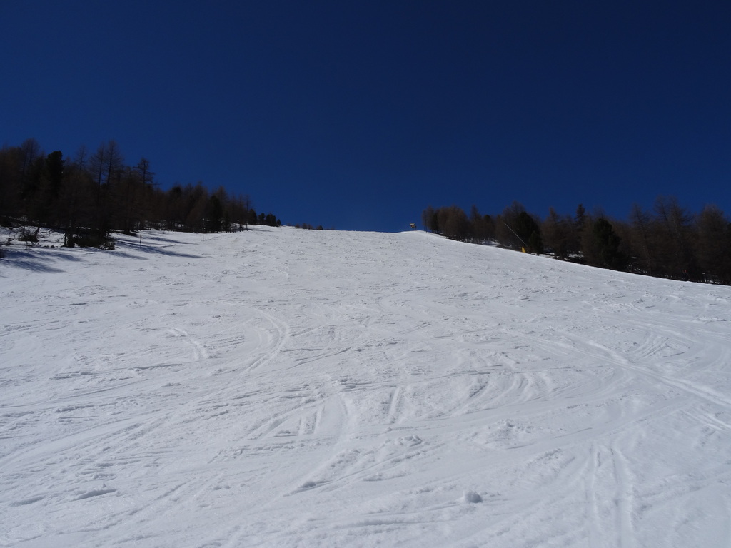 dsc030004wxdx.jpg