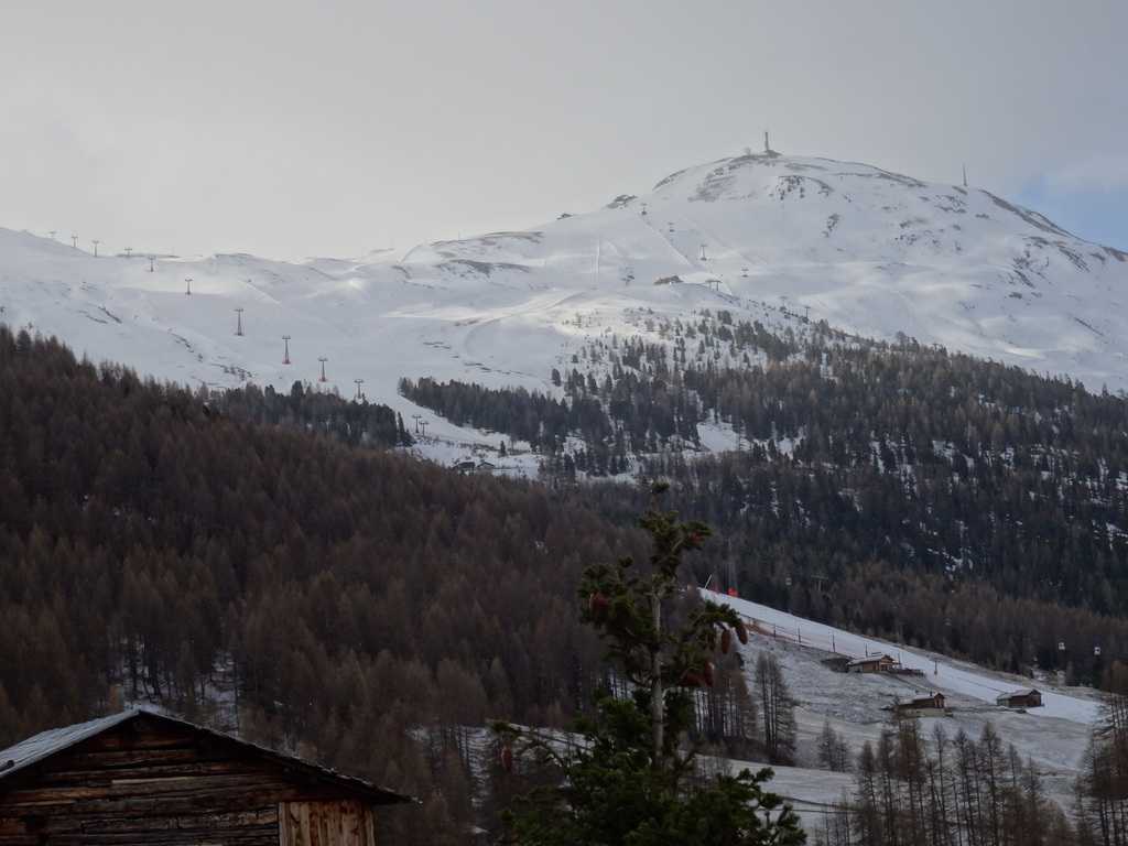 dsc03264r1bvo.jpg