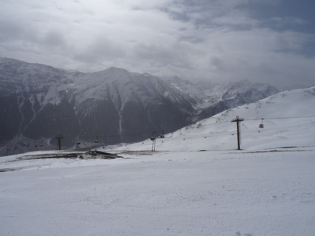 dsc03431rsur3.jpg