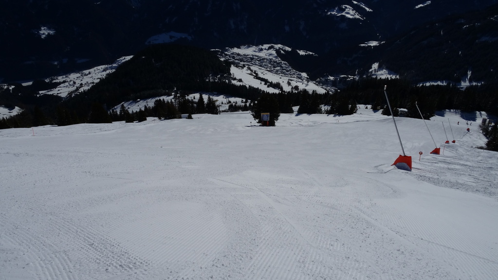 dsc03545bzz1e.jpg