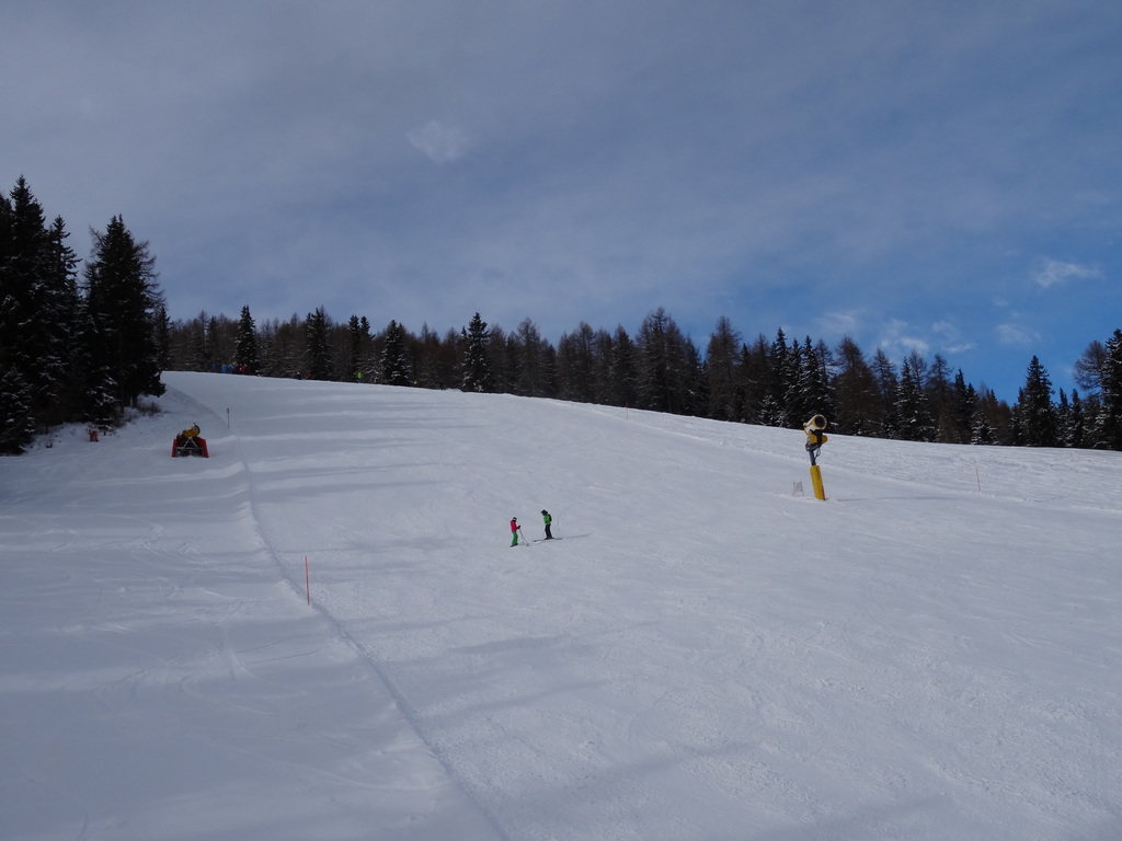 dsc04082plpva.jpg