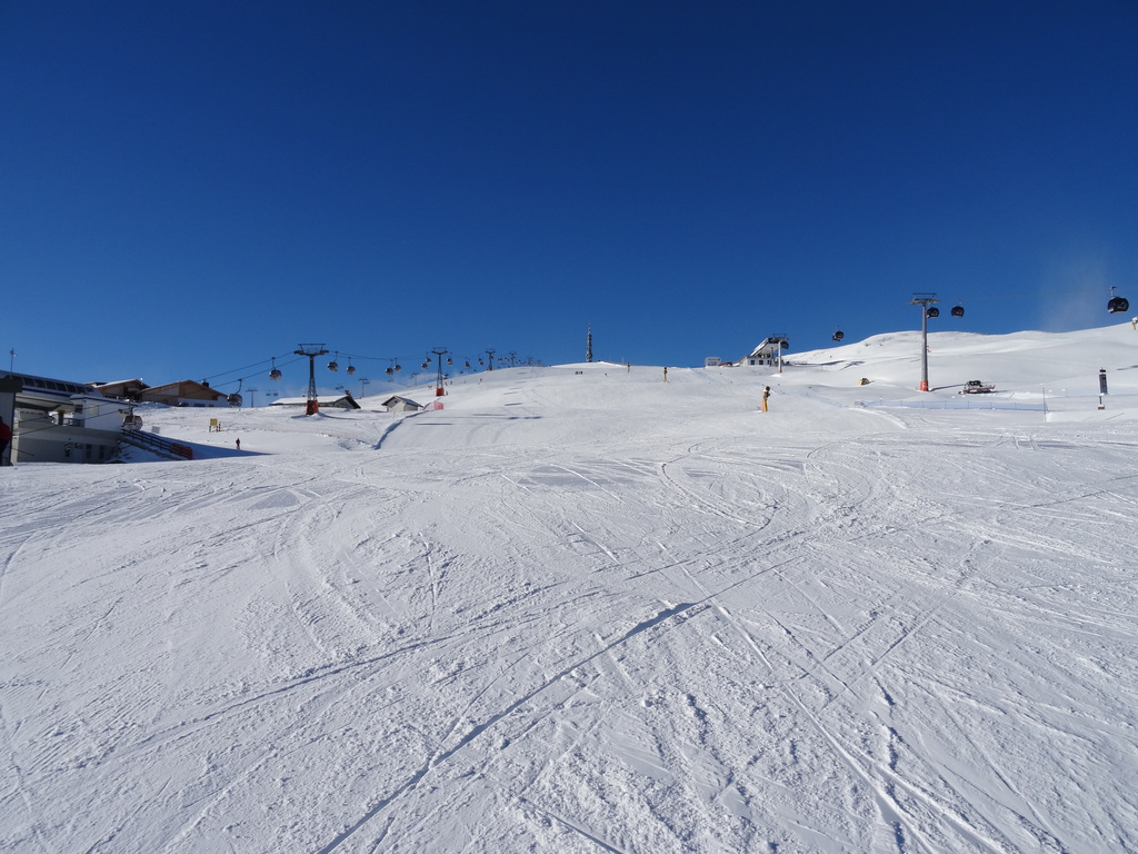 dsc04267g2lx6.jpg
