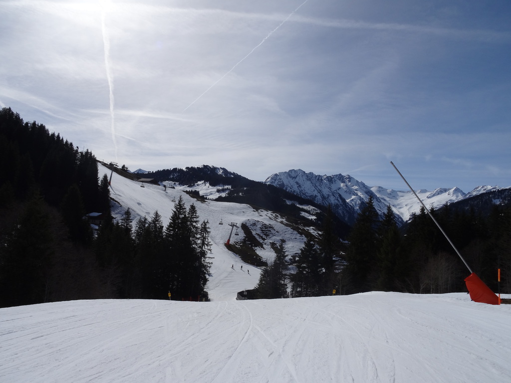 dsc04740ktubx.jpg