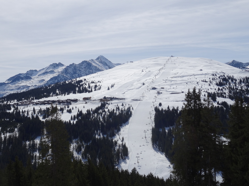 dsc04749lvuq6.jpg