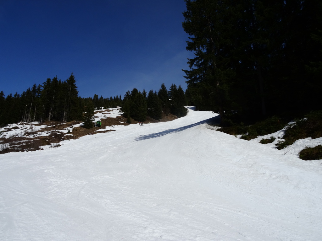 dsc048327xq9o.jpg
