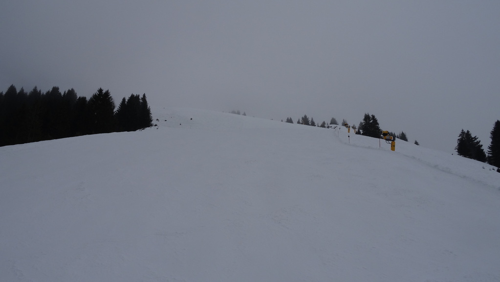 dsc08468cckap.jpg
