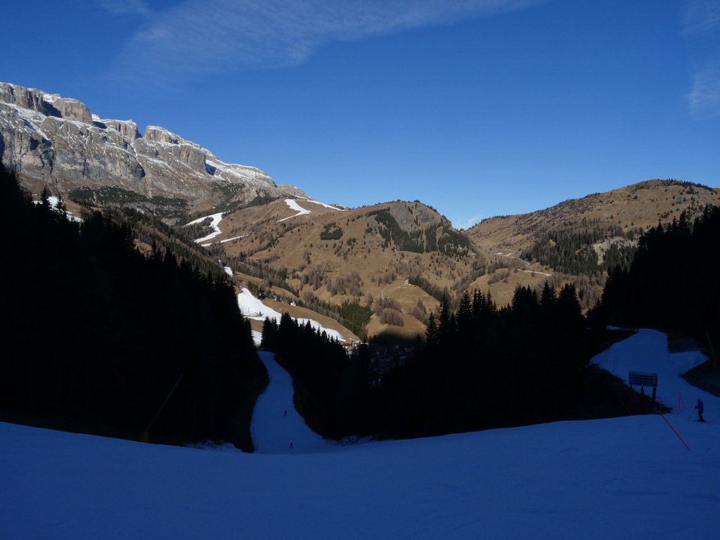 dsc099299fav4.jpg