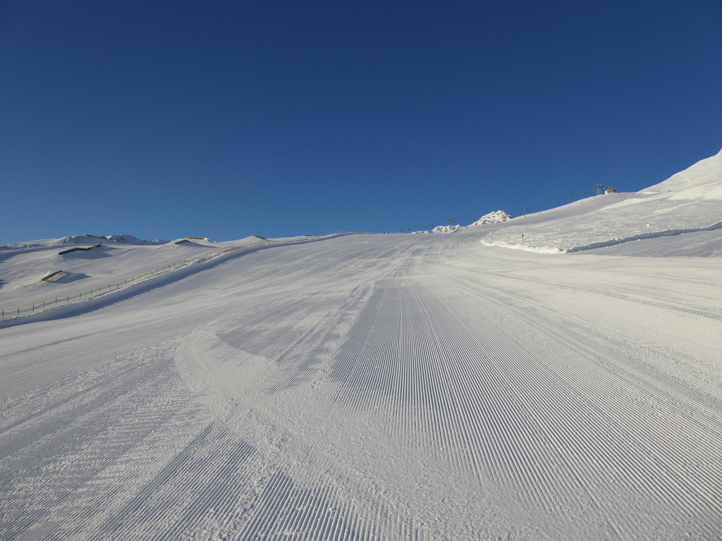 p1140196noo20.jpg
