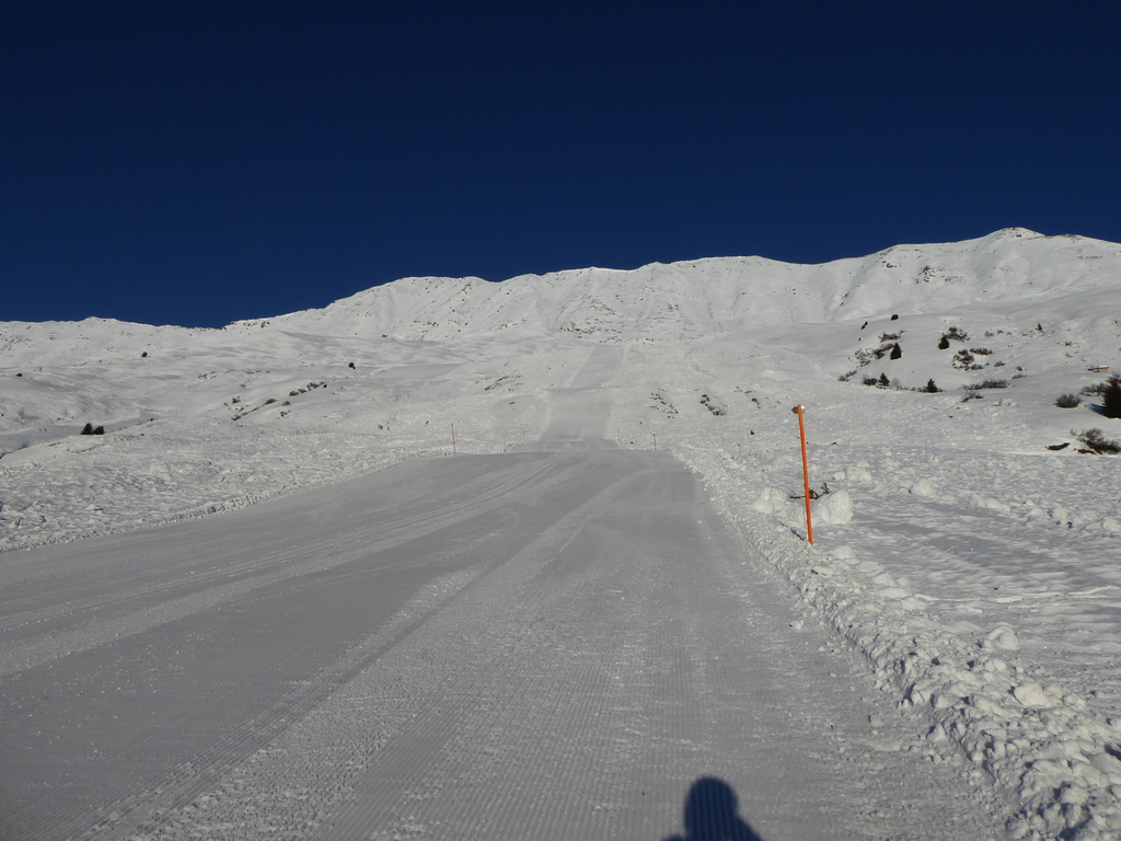 p1140214rxq1y.jpg