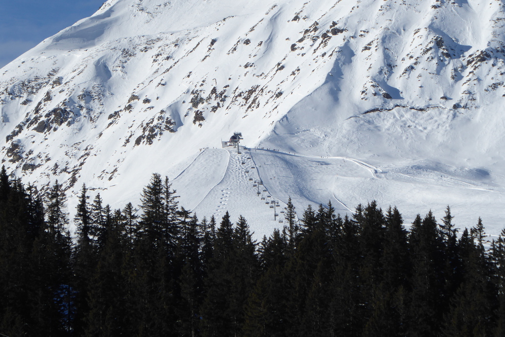 p1140801o5p2j.jpg