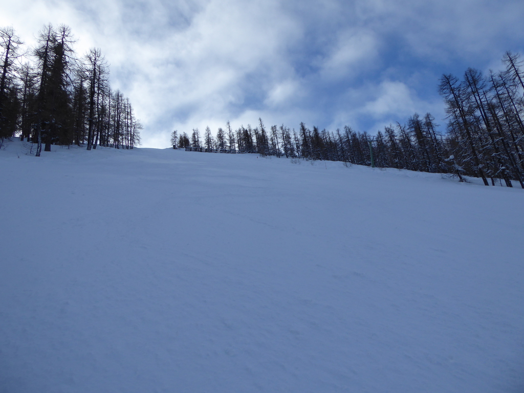 p1140919m1qs0.jpg